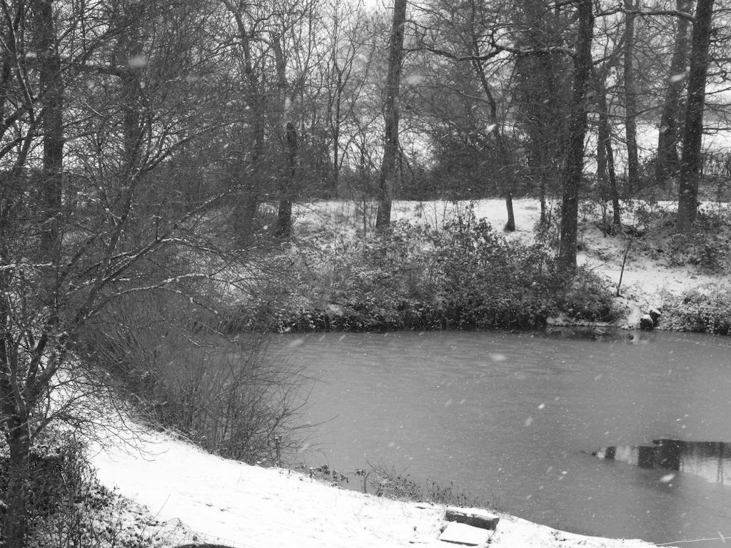 Meubles De Tourisme La Reserve Saint-Pierre-les-Bois Buitenkant foto