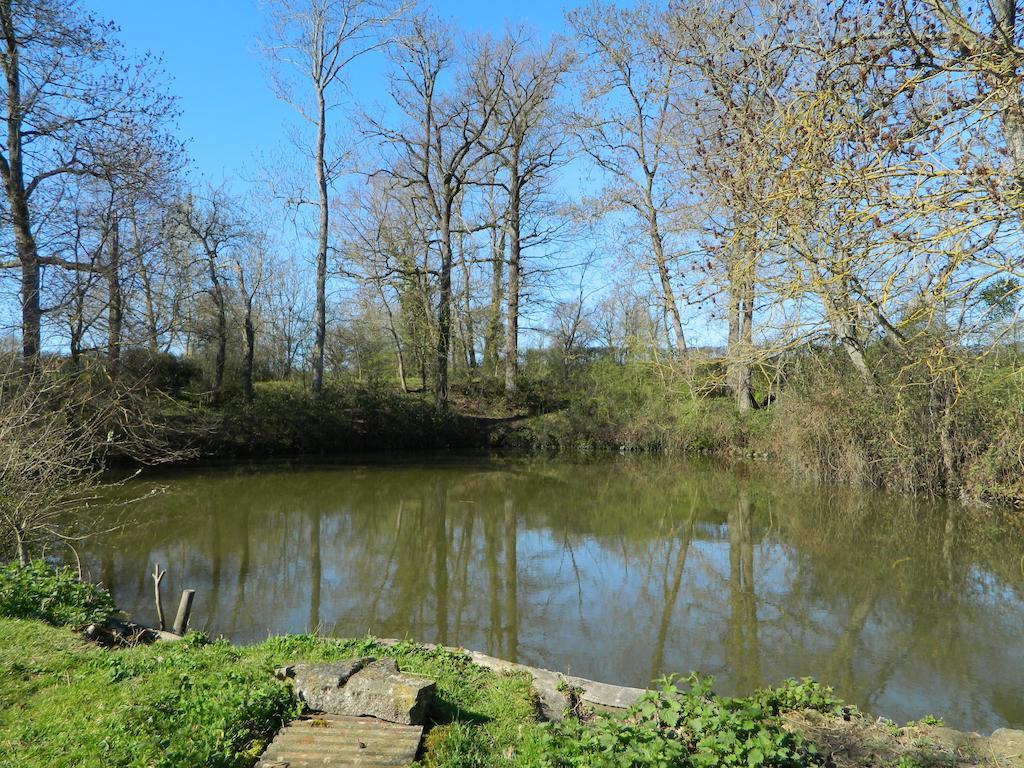 Meubles De Tourisme La Reserve Saint-Pierre-les-Bois Buitenkant foto